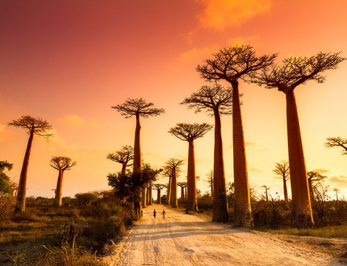 Nosy Be, Madagascar